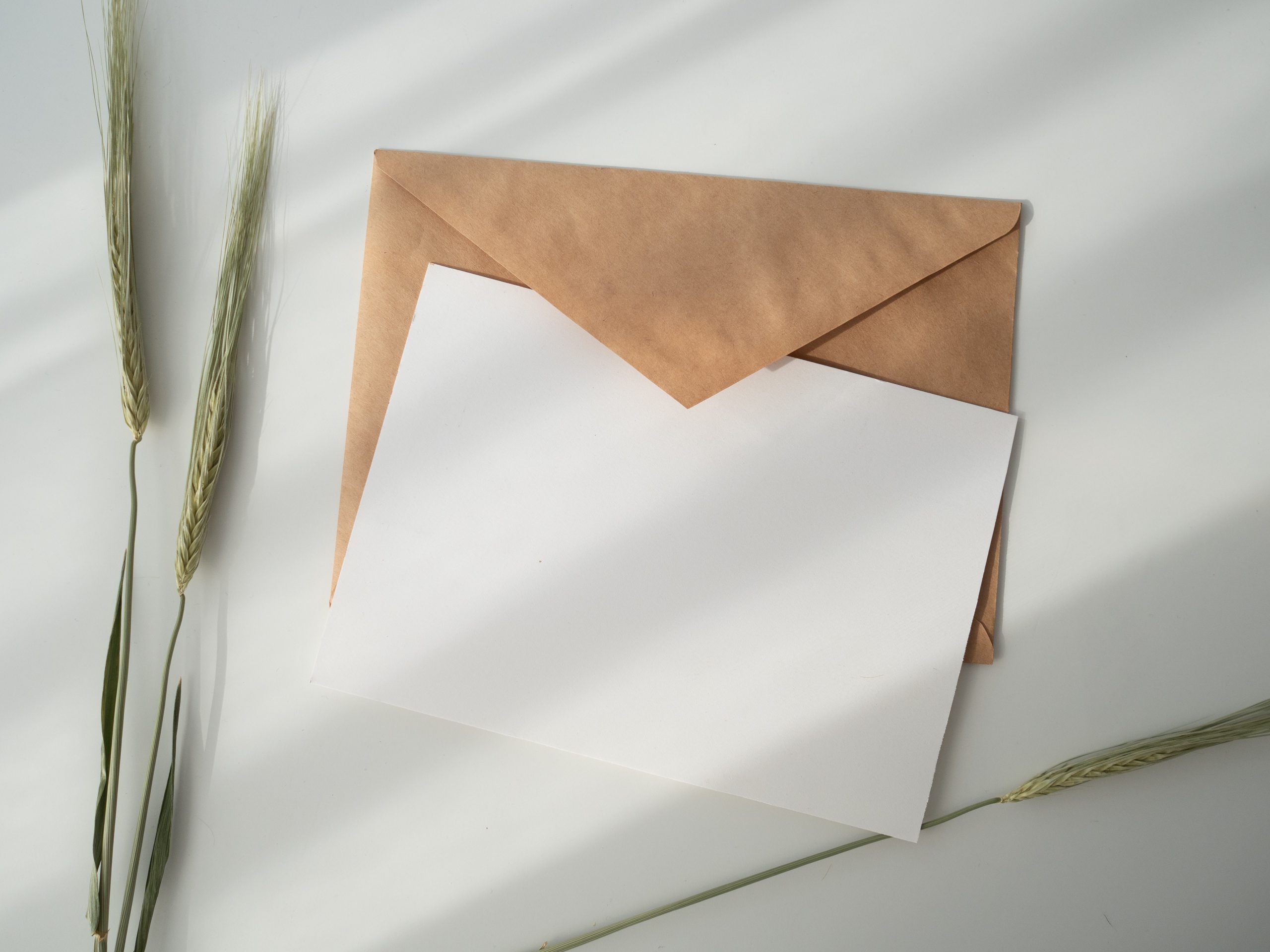 WordPressプラグイン「WP Mail SMTP」で最適なメール設定をしよう